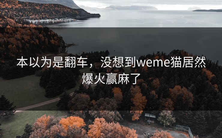 本以为是翻车，没想到weme猫居然爆火赢麻了