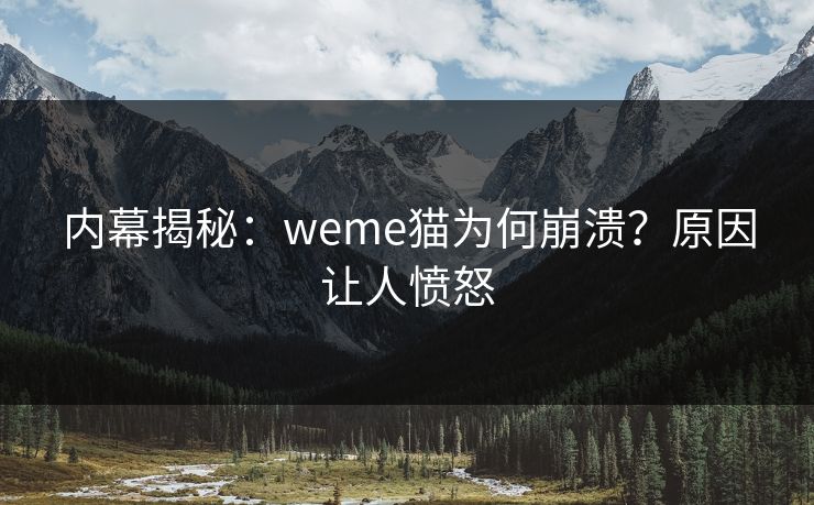 内幕揭秘：weme猫为何崩溃？原因让人愤怒