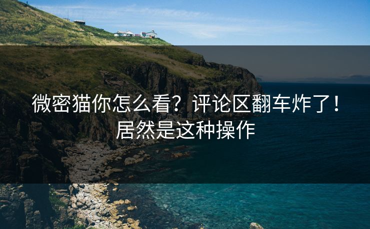 微密猫你怎么看？评论区翻车炸了！居然是这种操作
