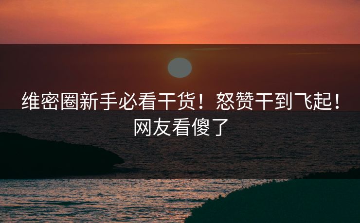 维密圈新手必看干货！怒赞干到飞起！网友看傻了