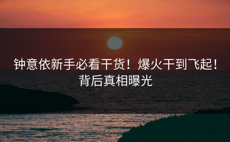 钟意依新手必看干货！爆火干到飞起！背后真相曝光