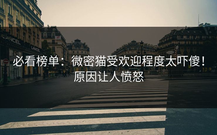 必看榜单：微密猫受欢迎程度太吓傻！原因让人愤怒