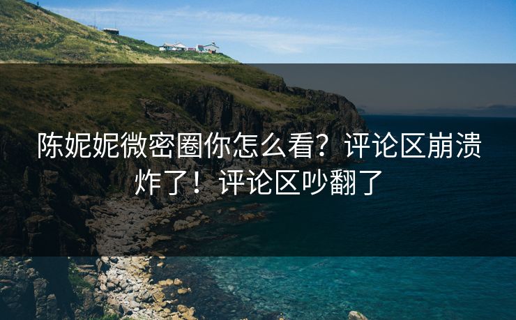陈妮妮微密圈你怎么看？评论区崩溃炸了！评论区吵翻了