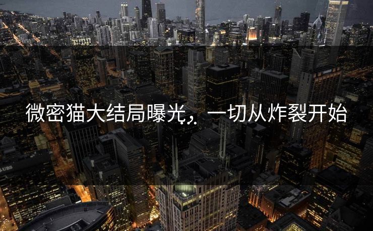微密猫大结局曝光，一切从炸裂开始…