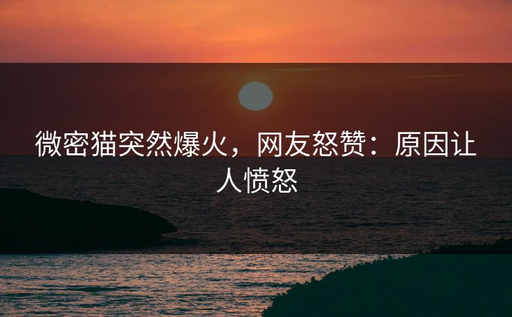 微密猫突然爆火，网友怒赞：原因让人愤怒