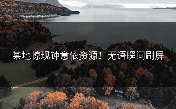 某地惊现钟意依资源！无语瞬间刷屏