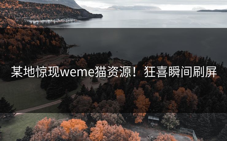 某地惊现weme猫资源！狂喜瞬间刷屏