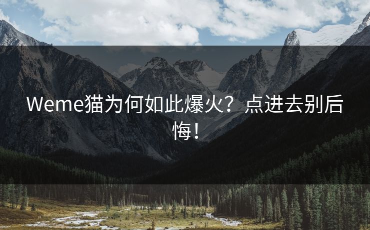 Weme猫为何如此爆火？点进去别后悔！