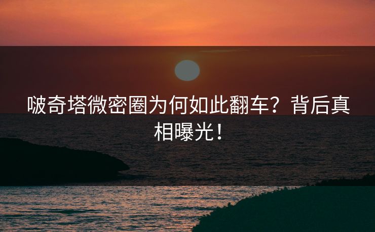 啵奇塔微密圈为何如此翻车？背后真相曝光！