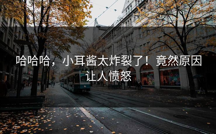 哈哈哈,小耳酱太炸裂了!竟然原因让人愤怒