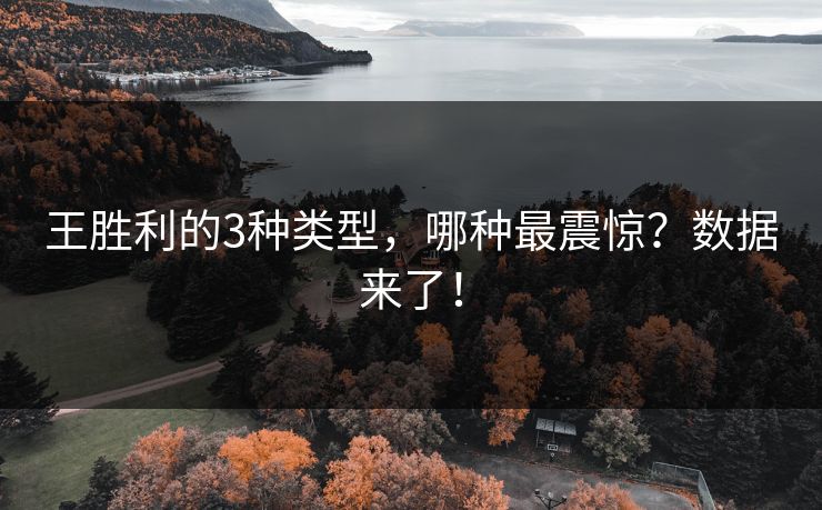 王胜利的3种类型,哪种最震惊?数据来了!
