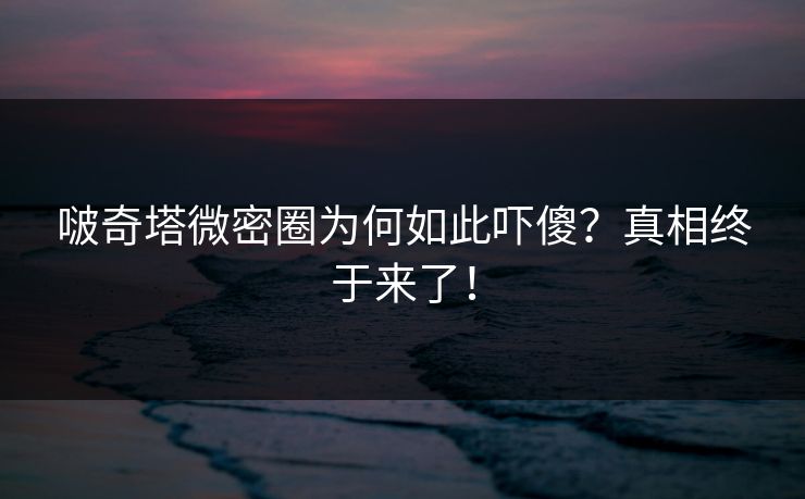 啵奇塔微密圈为何如此吓傻？真相终于来了！