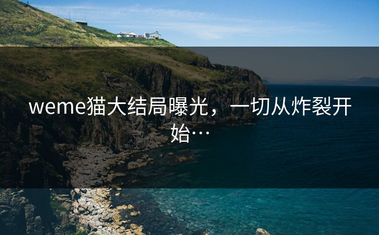 weme猫大结局曝光，一切从炸裂开始…