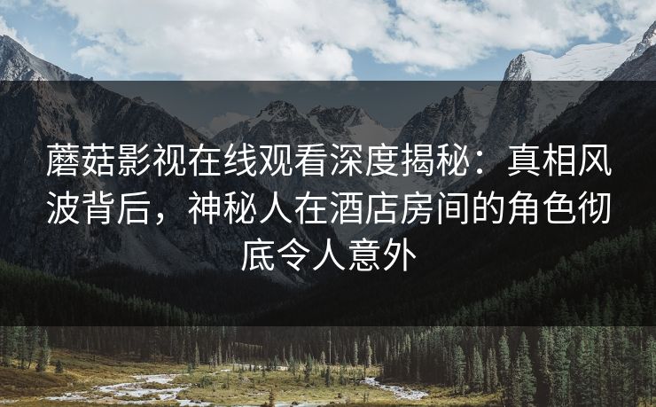 蘑菇影视在线观看深度揭秘：真相风波背后，神秘人在酒店房间的角色彻底令人意外