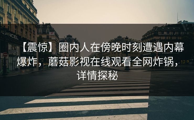 【震惊】圈内人在傍晚时刻遭遇内幕爆炸，蘑菇影视在线观看全网炸锅，详情探秘