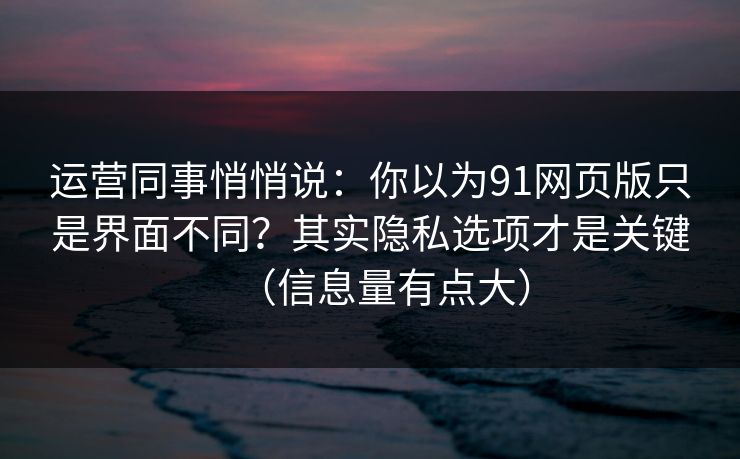 运营同事悄悄说：你以为91网页版只是界面不同？其实隐私选项才是关键（信息量有点大）